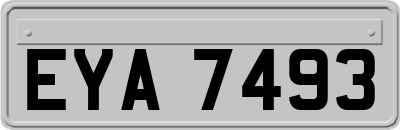 EYA7493