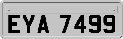 EYA7499