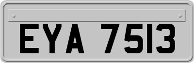 EYA7513