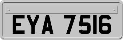 EYA7516