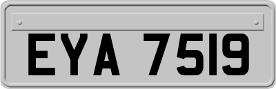 EYA7519