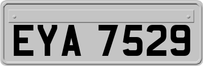 EYA7529