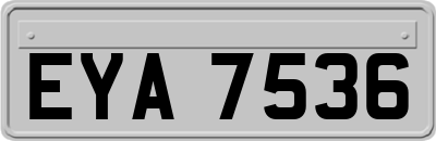 EYA7536