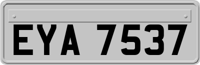 EYA7537