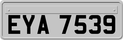 EYA7539
