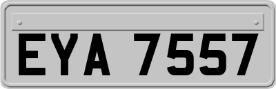 EYA7557