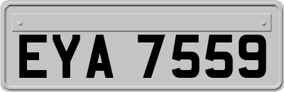 EYA7559