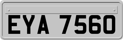 EYA7560