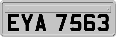 EYA7563
