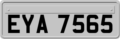 EYA7565