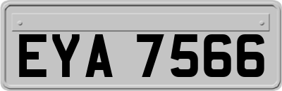 EYA7566