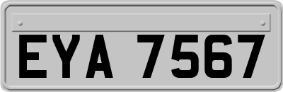 EYA7567