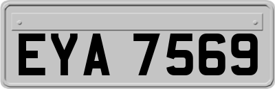 EYA7569