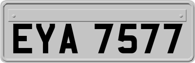 EYA7577