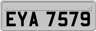 EYA7579