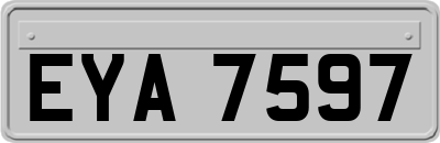 EYA7597