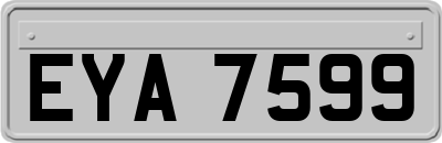 EYA7599