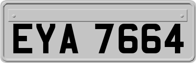 EYA7664