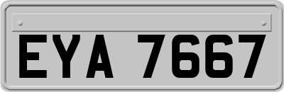 EYA7667