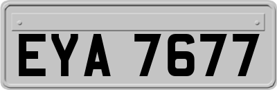 EYA7677