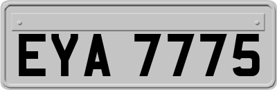 EYA7775