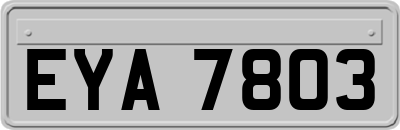 EYA7803