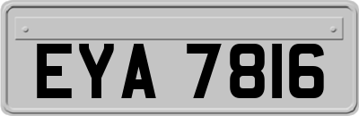 EYA7816