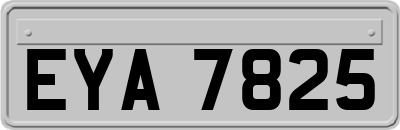 EYA7825