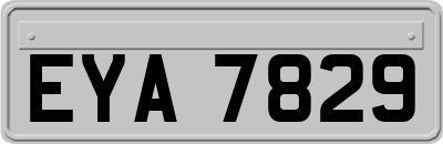 EYA7829