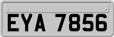 EYA7856