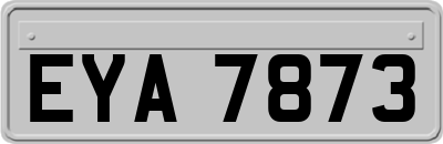 EYA7873