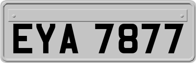 EYA7877
