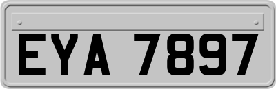 EYA7897