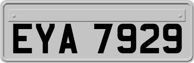 EYA7929
