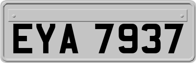 EYA7937
