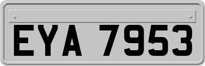 EYA7953