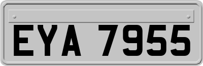EYA7955