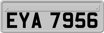 EYA7956