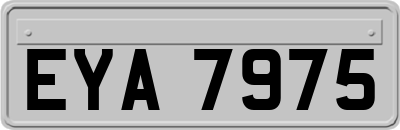 EYA7975