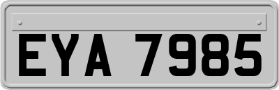 EYA7985