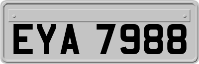 EYA7988