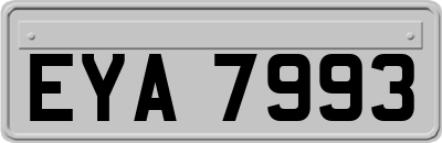 EYA7993