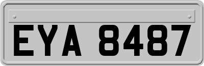 EYA8487