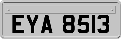 EYA8513