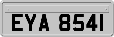 EYA8541