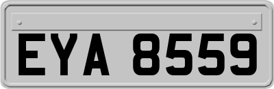 EYA8559