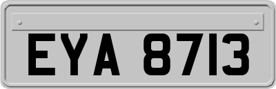 EYA8713