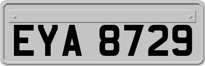 EYA8729
