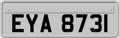 EYA8731
