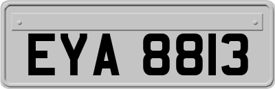 EYA8813
